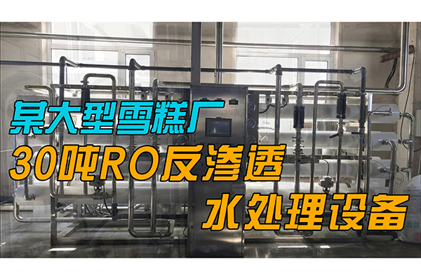 今天為大家展示一套某大型雪糕廠30噸RO反滲透水處理設(shè)備