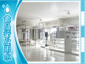 食品廠、水廠生產(chǎn)用水系列