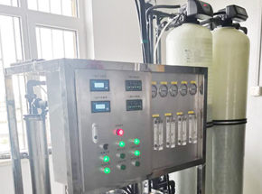 遼寧省大連某海參廠加工用水雙極反滲透設備